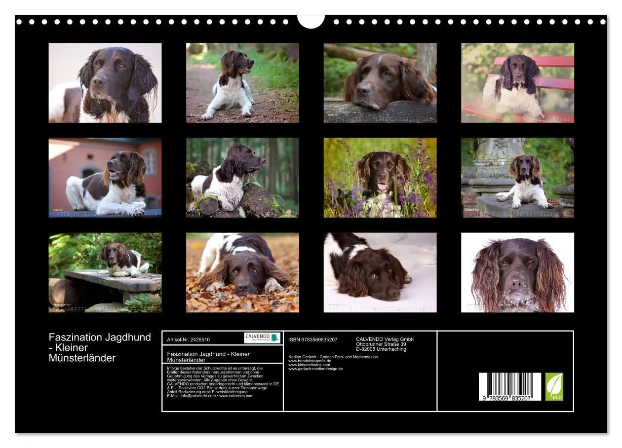 Bild: 9783569835207 | Faszination Jagdhund - Kleiner Münsterländer (Wandkalender 2027 DIN...