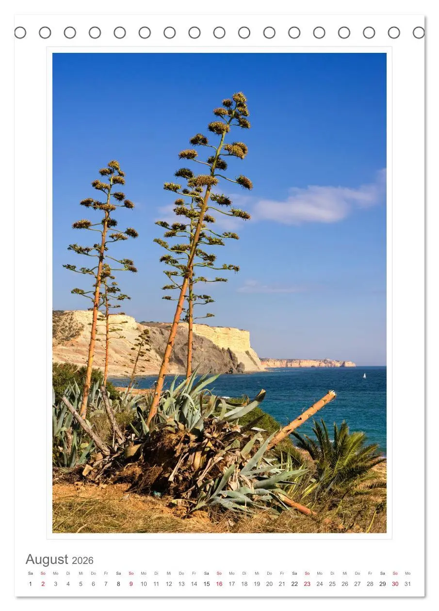 Bild: 9783516355307 | Portugal. Algarve (Tischkalender 2026 DIN A5 hoch), CALVENDO...