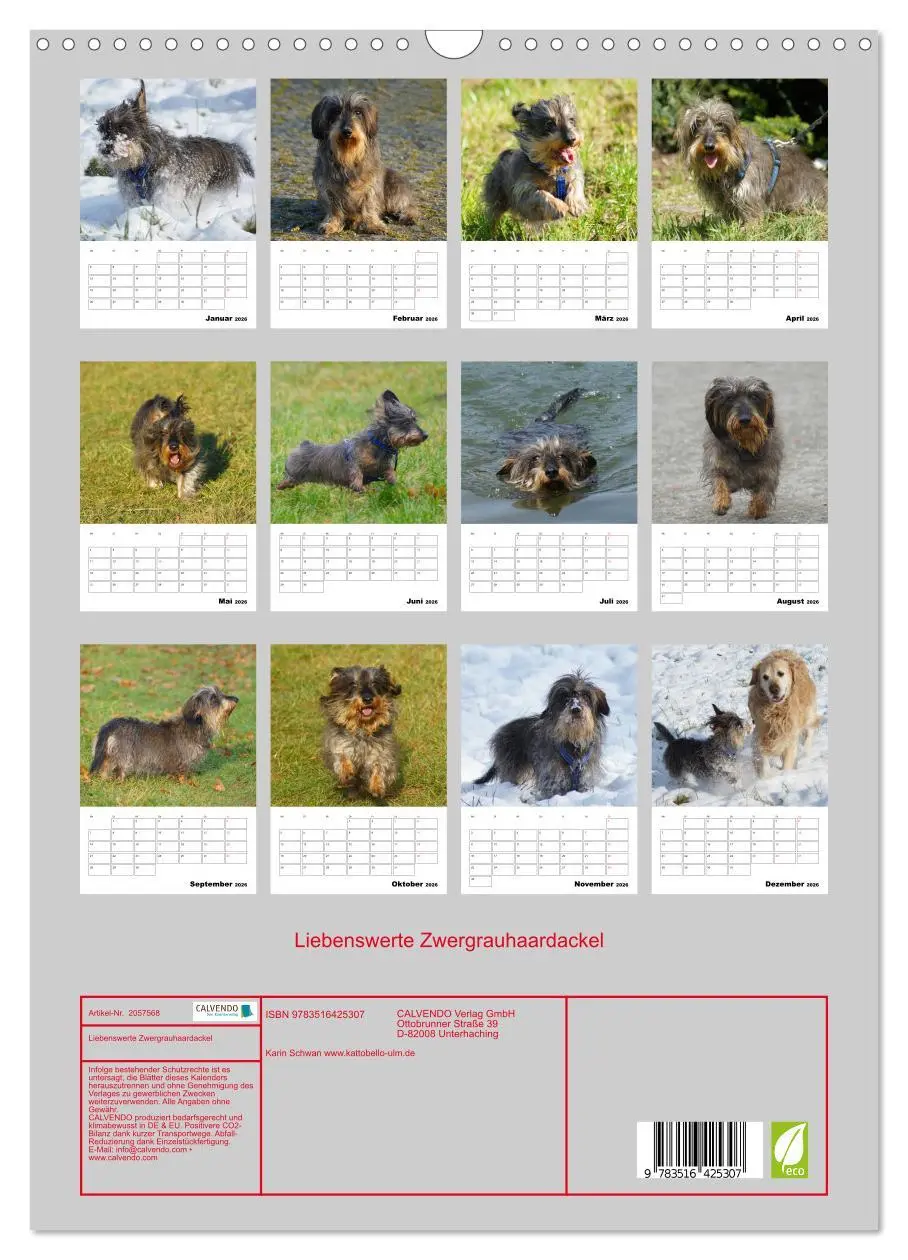 Bild: 9783516425307 | Liebenswerte Zwergrauhaardackel (Wandkalender 2026 DIN A3 hoch),...