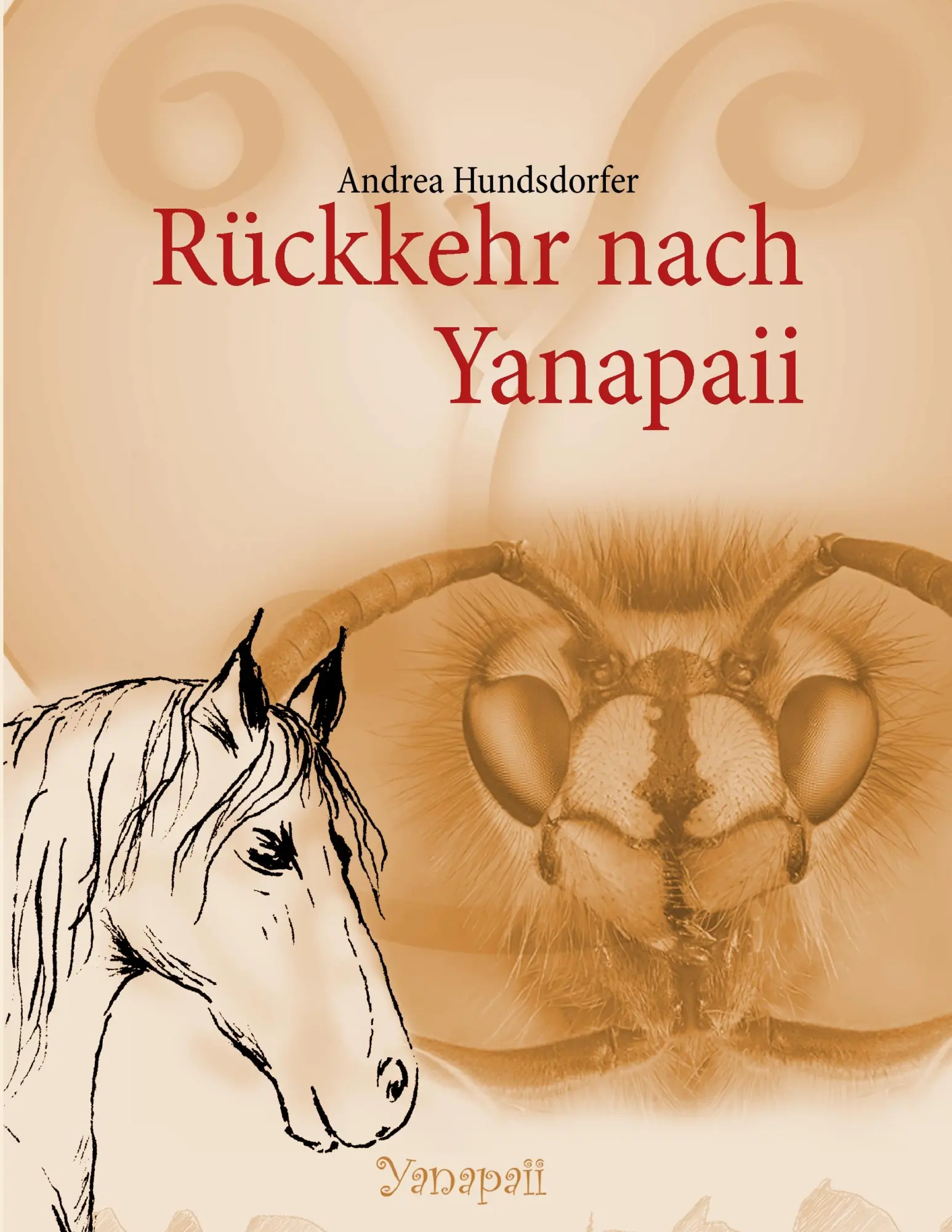 Cover: 9783732245307 | Rückkehr nach Yanapaii | Andrea Hundsdorfer | Taschenbuch | 148 S.