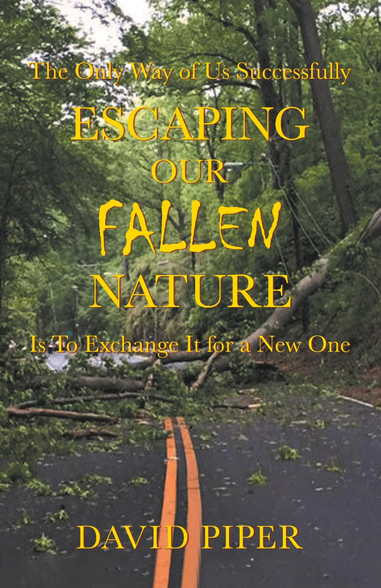 Cover: 9781990695407 | Escaping Our Fallen Nature | David Piper | Taschenbuch | Englisch