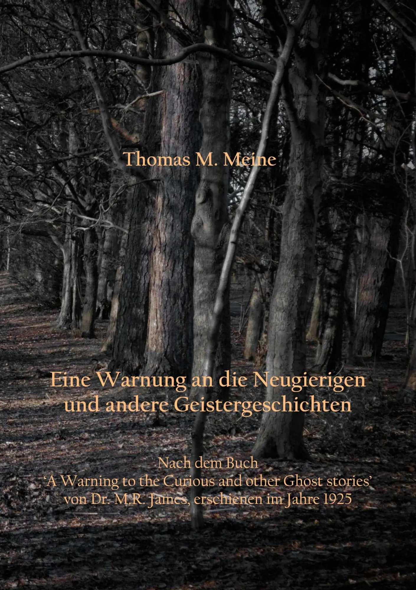 Cover: 9783755795407 | Eine Warnung an die Neugierigen und andere Geistergeschichten | Buch