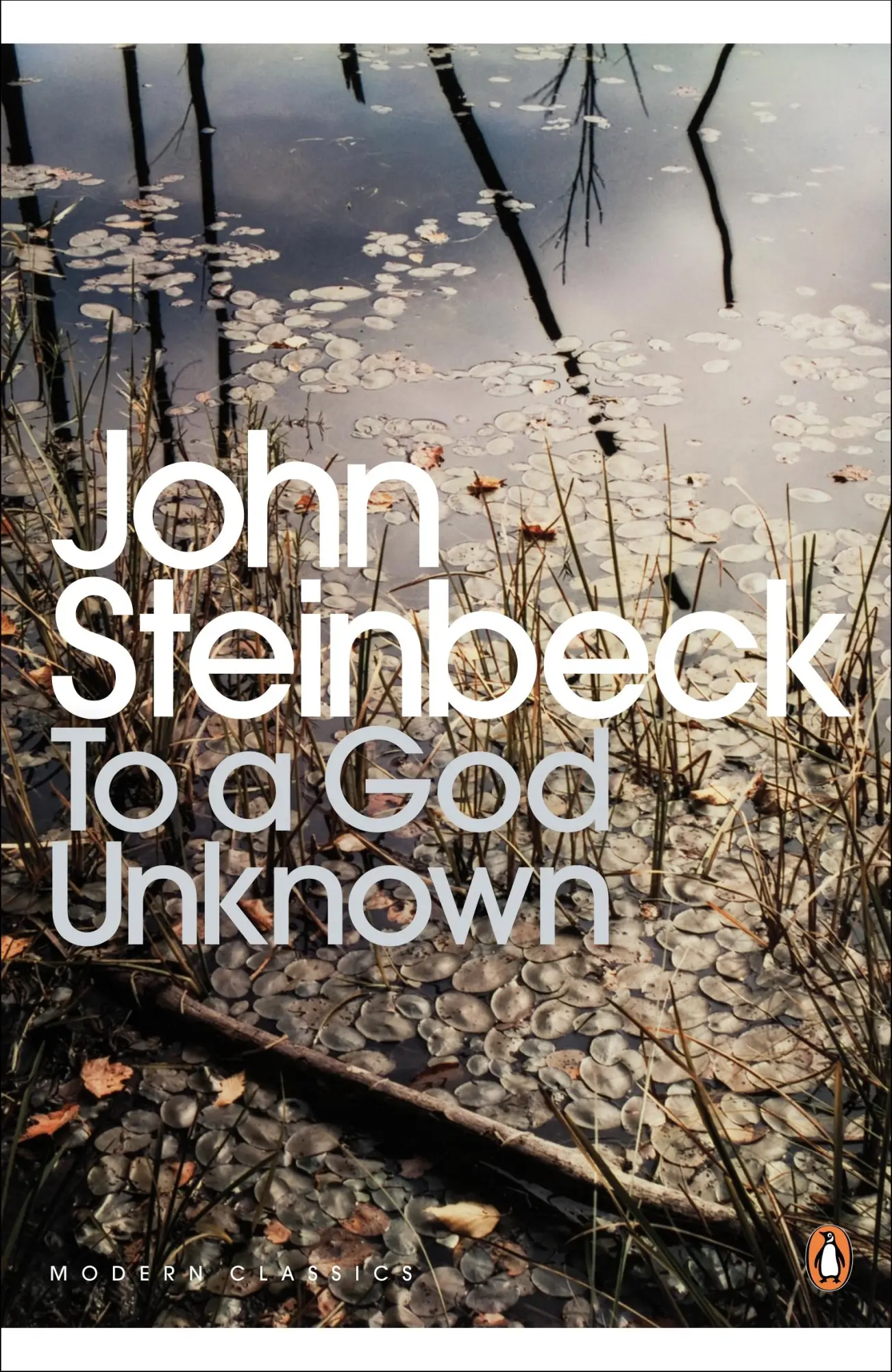 Cover: 9780141185507 | To a God Unknown | John Steinbeck | Taschenbuch | Englisch | 2000