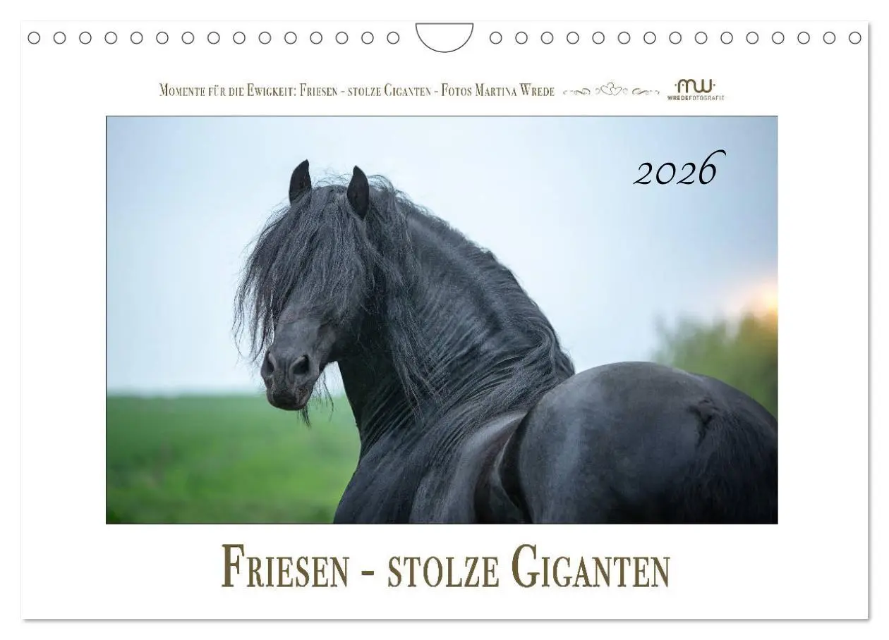 Cover: 9783457795507 | Friesen - stolze Giganten (Wandkalender 2026 DIN A4 quer), CALVENDO...