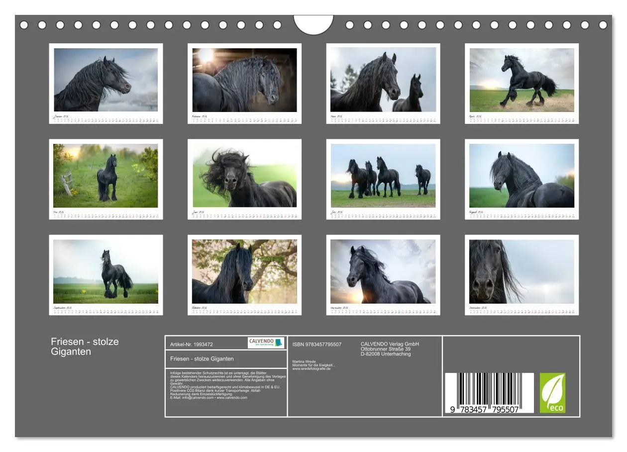 Bild: 9783457795507 | Friesen - stolze Giganten (Wandkalender 2026 DIN A4 quer), CALVENDO...