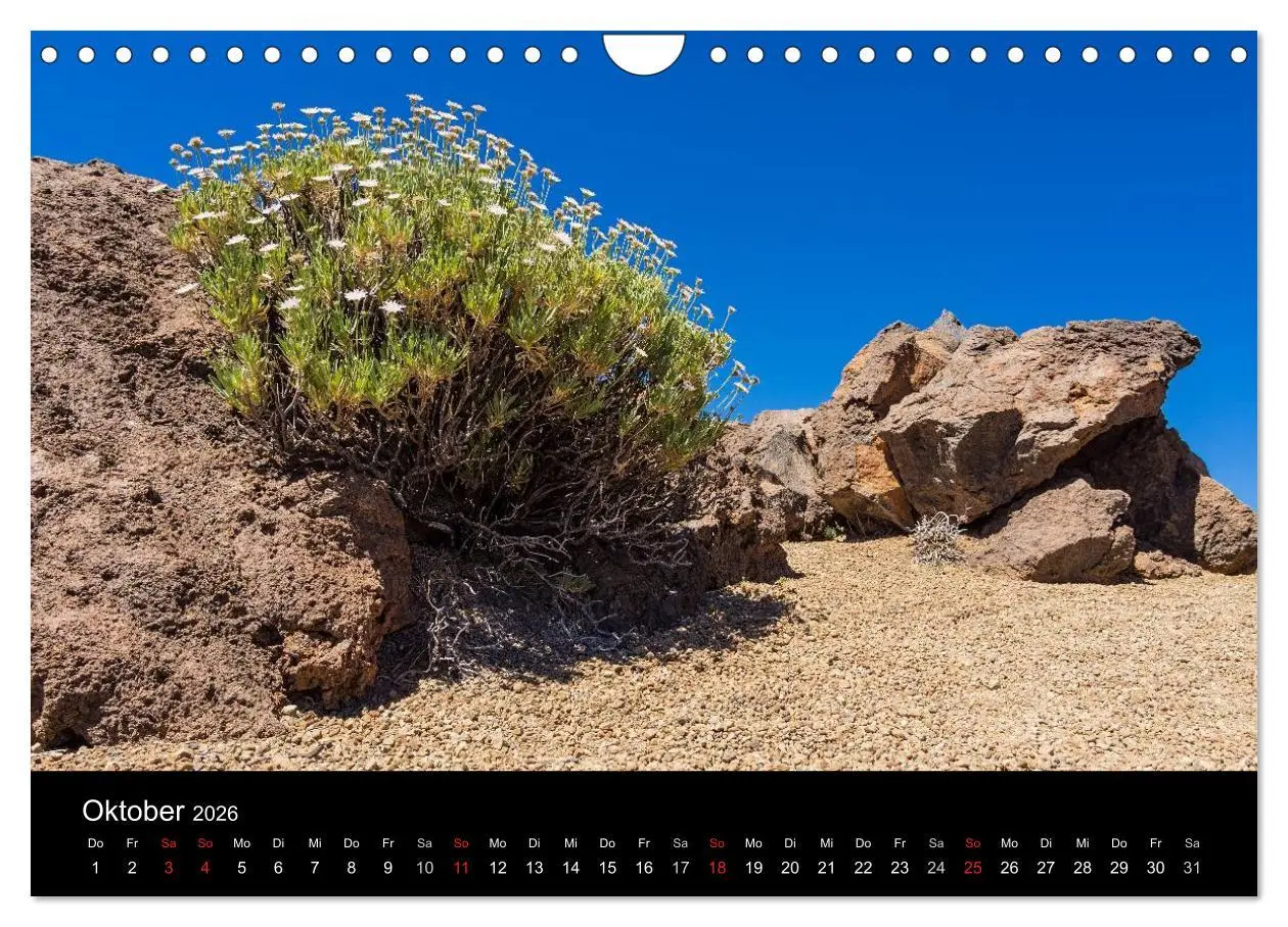 Bild: 9783516175707 | Teneriffa (Wandkalender 2026 DIN A4 quer), CALVENDO Monatskalender