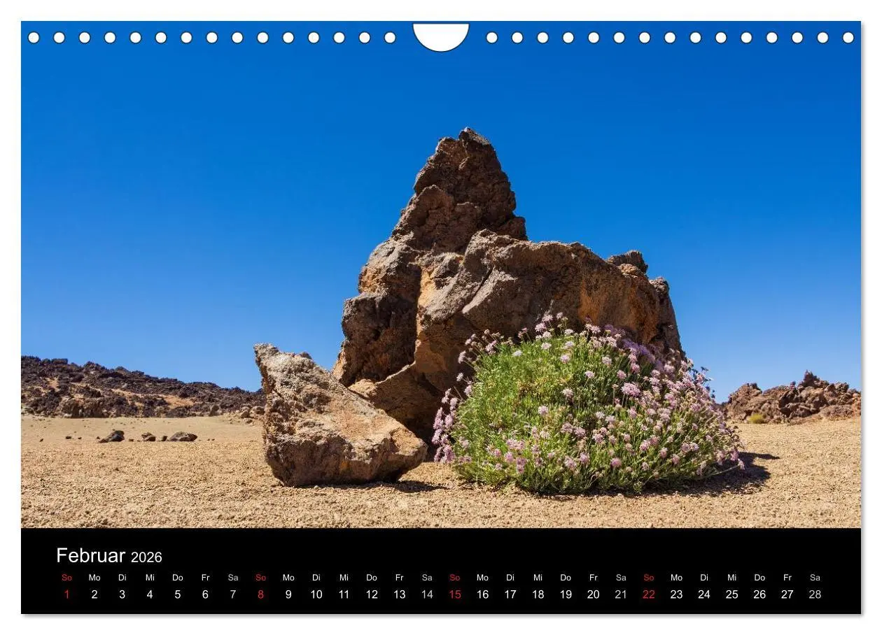 Bild: 9783516175707 | Teneriffa (Wandkalender 2026 DIN A4 quer), CALVENDO Monatskalender