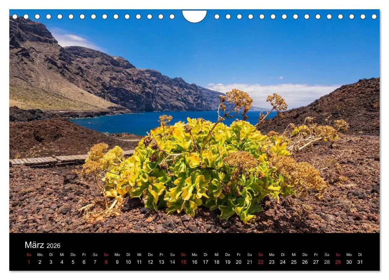 Bild: 9783516175707 | Teneriffa (Wandkalender 2026 DIN A4 quer), CALVENDO Monatskalender