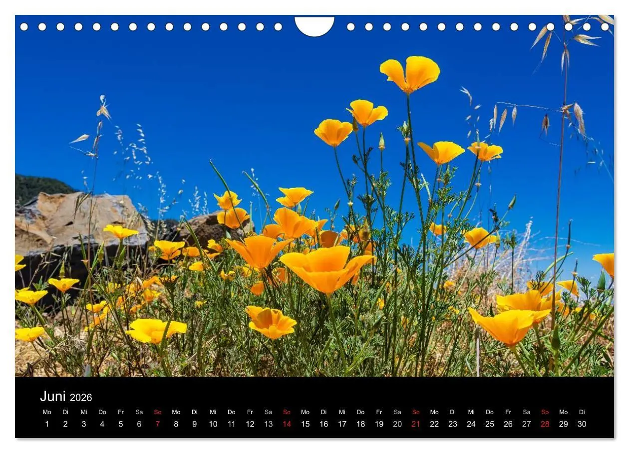 Bild: 9783516175707 | Teneriffa (Wandkalender 2026 DIN A4 quer), CALVENDO Monatskalender
