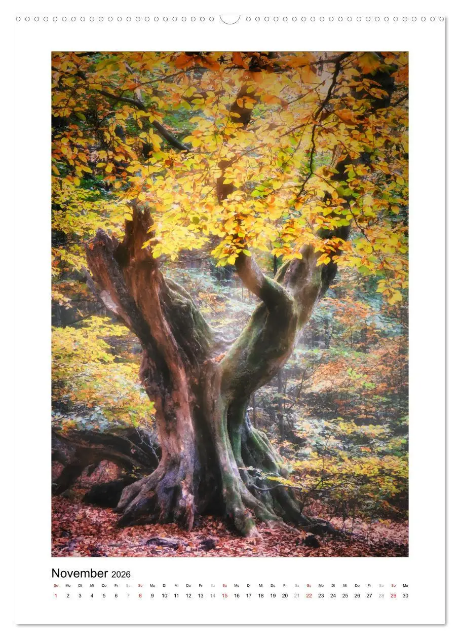 Bild: 9783516315707 | Märchenhaft mystisch (hochwertiger Premium Wandkalender 2026 DIN A2...