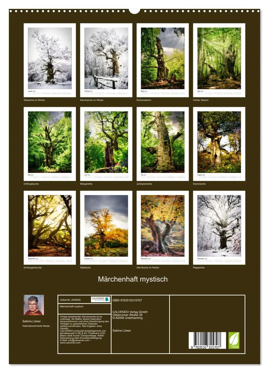 Bild: 9783516315707 | Märchenhaft mystisch (hochwertiger Premium Wandkalender 2026 DIN A2...