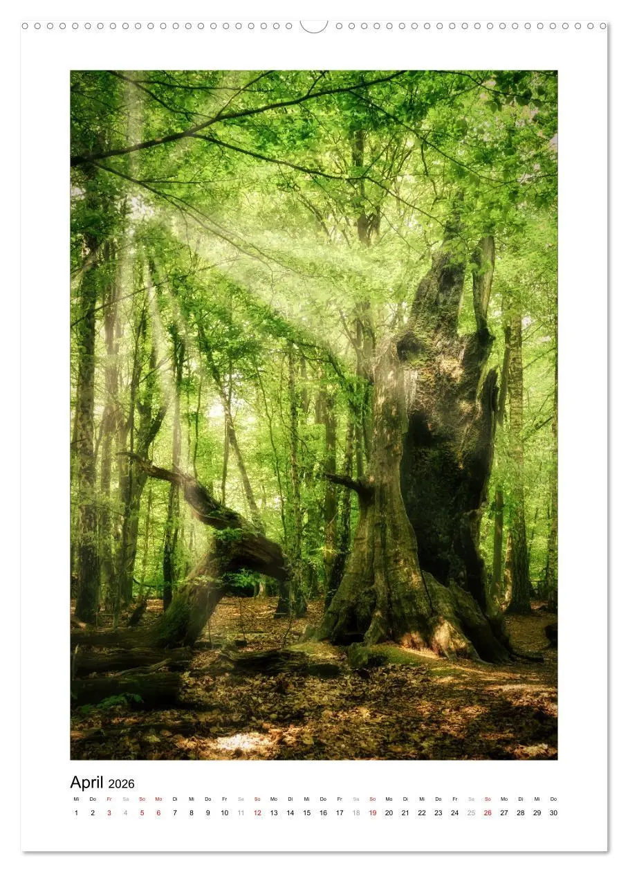 Bild: 9783516315707 | Märchenhaft mystisch (hochwertiger Premium Wandkalender 2026 DIN A2...