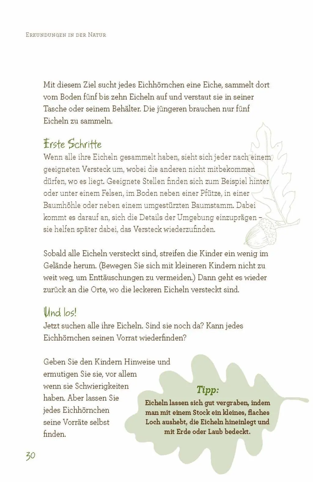 Bild: 9783730605707 | Abenteuer Waldschule | Outdoor-Erlebnisse für Kinder | Taschenbuch