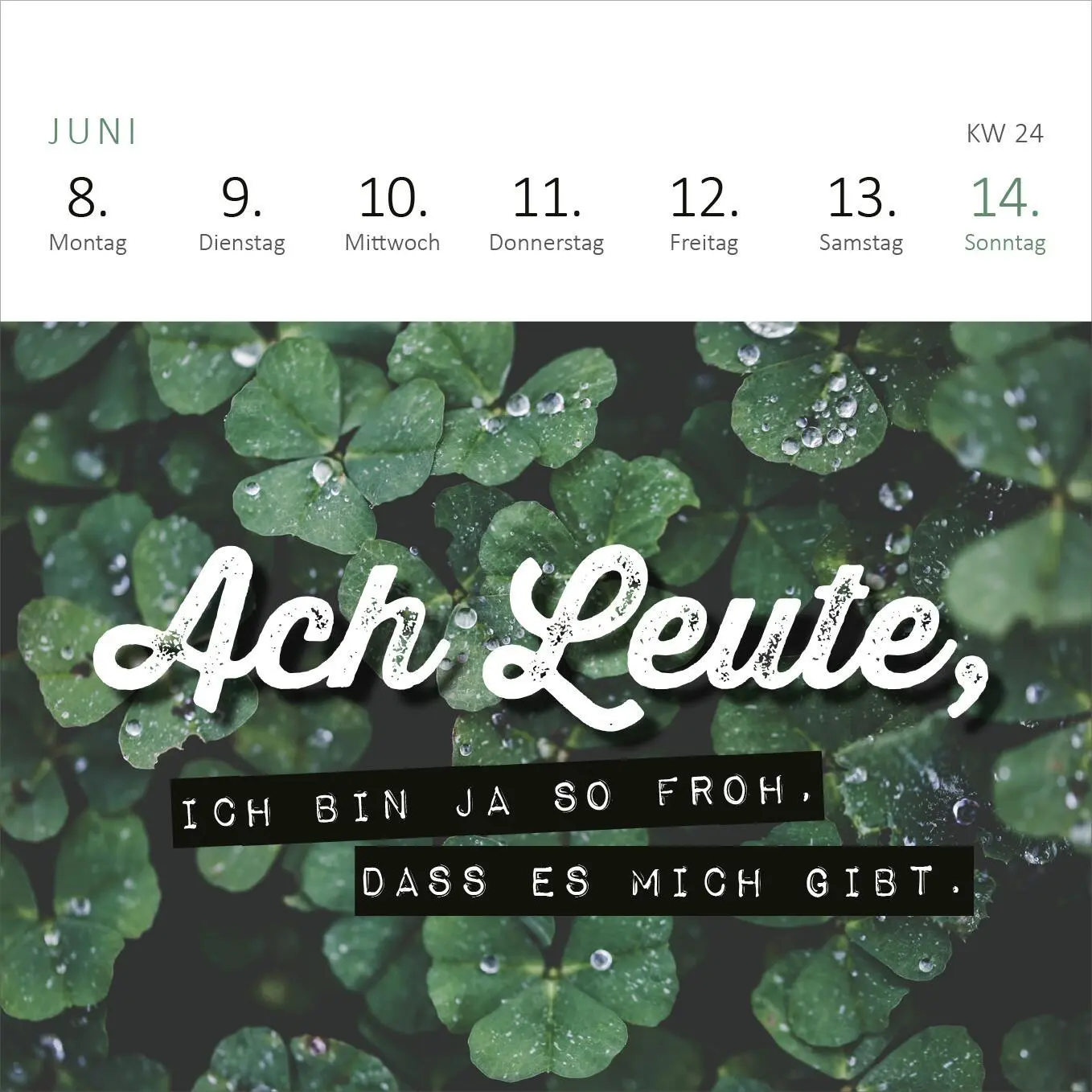 Bild: 4014489135807 | Mini-Wochenkalender Ganz schön viel Meinung für so wenig Ahnung! 2026