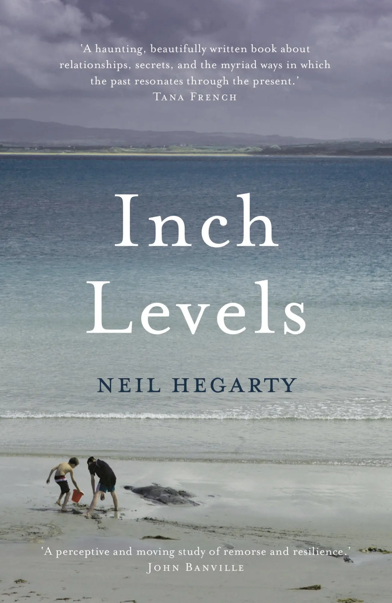 Cover: 9781784975807 | Inch Levels | Neil Hegarty | Taschenbuch | 352 S. | Englisch | 2017