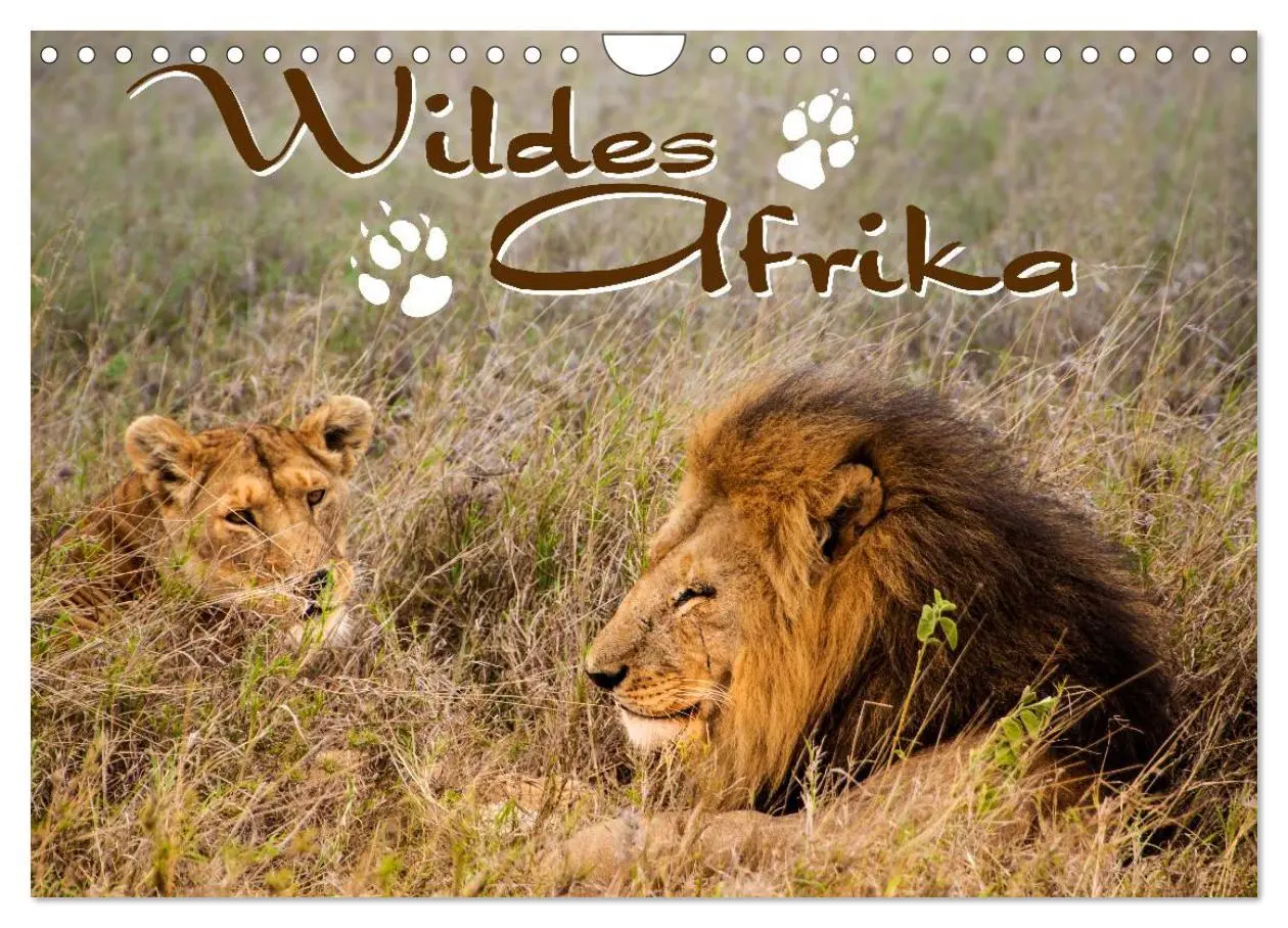 Cover: 9783516155907 | Wildes Afrika (Wandkalender 2026 DIN A4 quer), CALVENDO Monatskalender