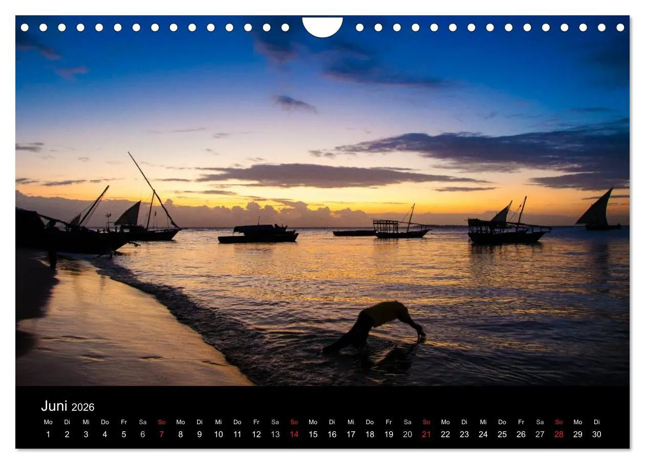 Bild: 9783516155907 | Wildes Afrika (Wandkalender 2026 DIN A4 quer), CALVENDO Monatskalender