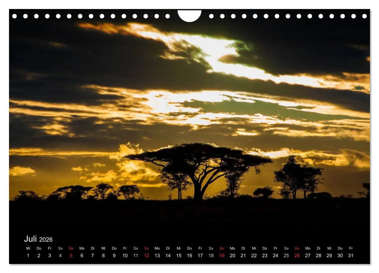 Bild: 9783516155907 | Wildes Afrika (Wandkalender 2026 DIN A4 quer), CALVENDO Monatskalender
