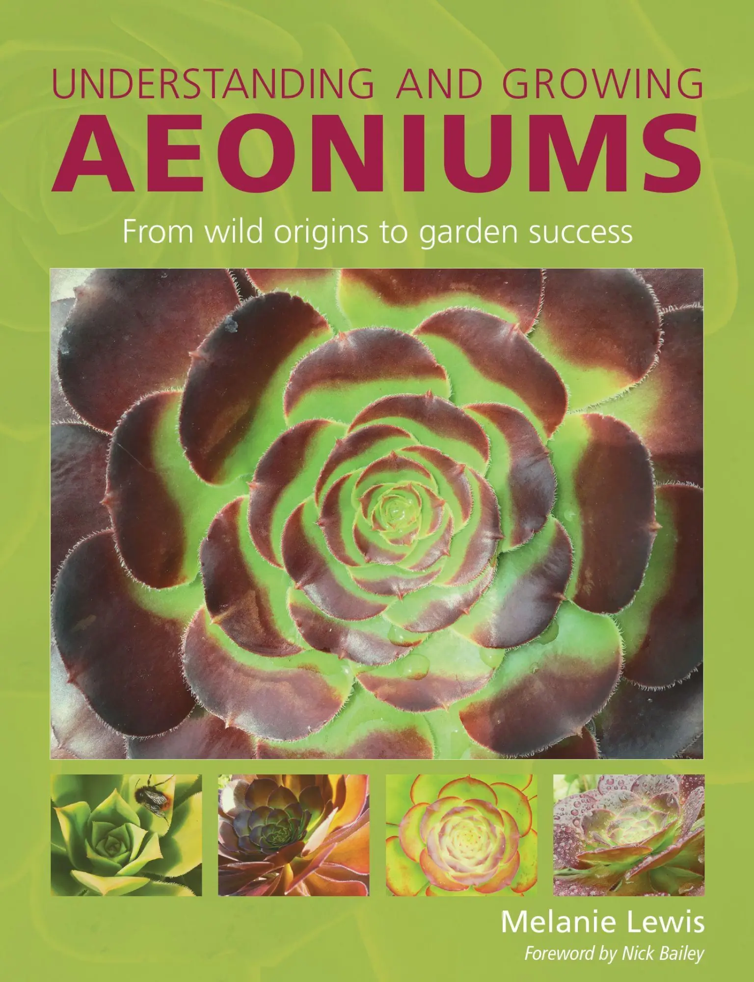 Cover: 9780719846007 | Understanding and Growing Aeoniums | Melanie Lewis | Taschenbuch