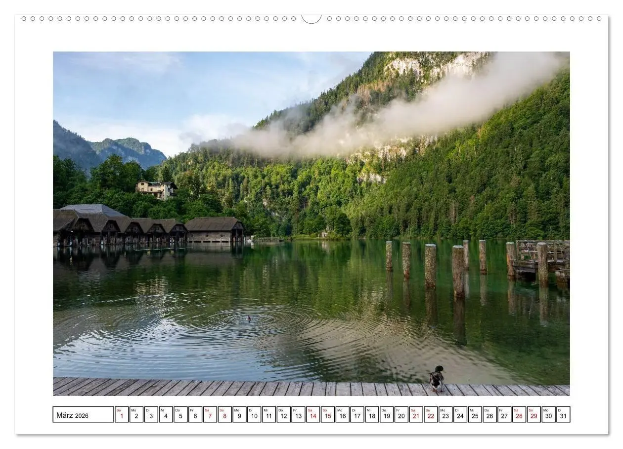 Bild: 9783516736007 | Morgen am Königssee - Spiegelungen und Stille (Wandkalender 2026...