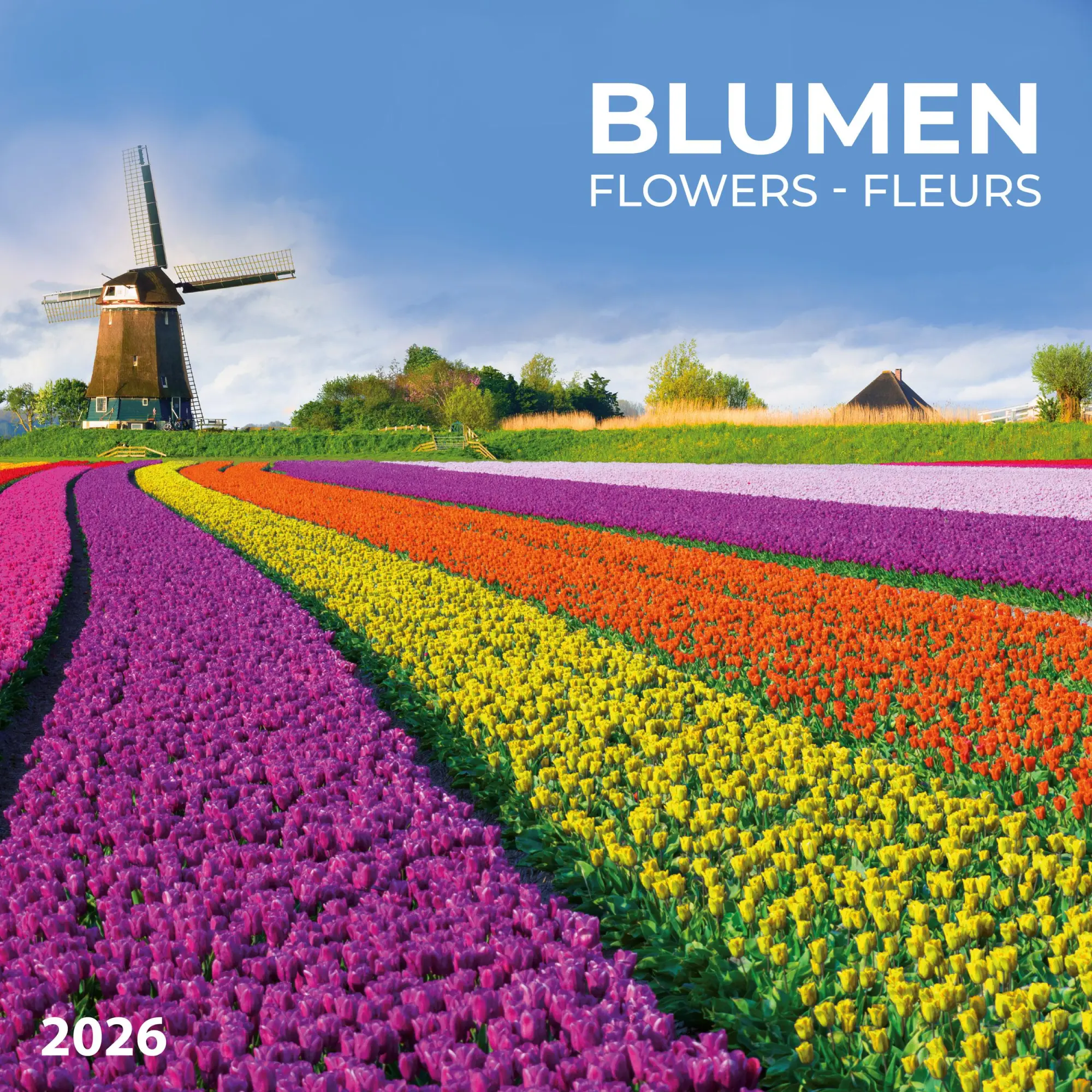 Cover: 9783959296007 | Blumen vom Feld 2026 | Kalender 2026 | Kalender | Artwork Edition