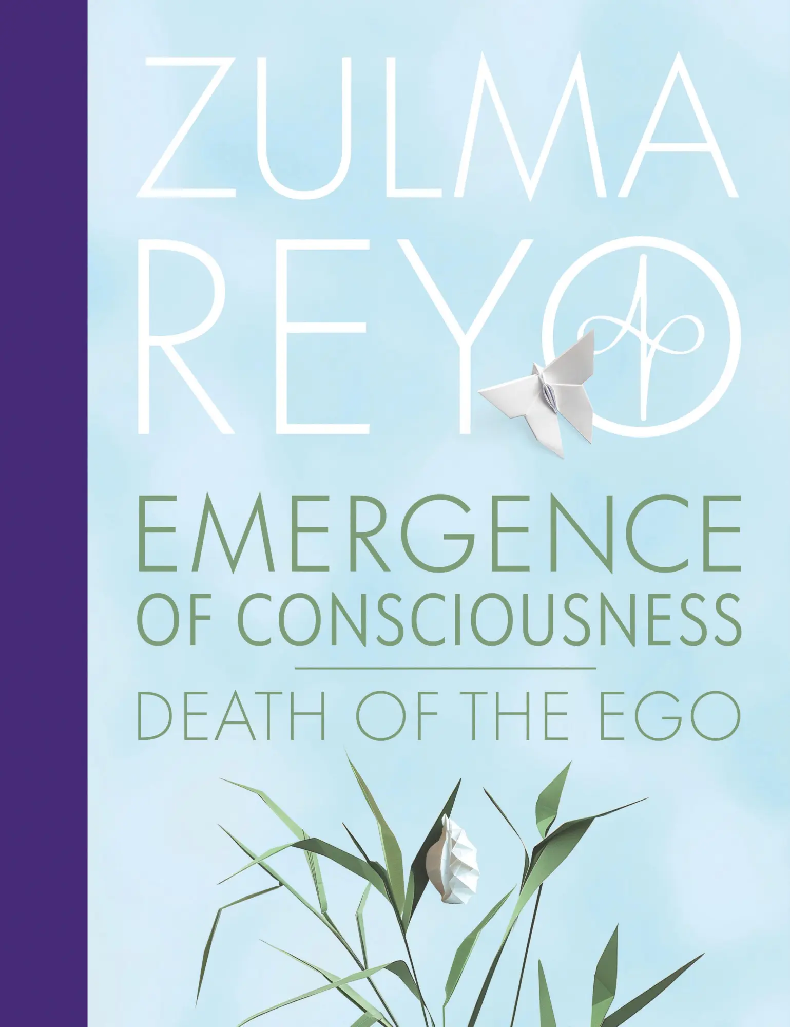 Cover: 9781916746107 | Emergence of Consciousness | Death of the Ego | Zulma Reyo | Buch