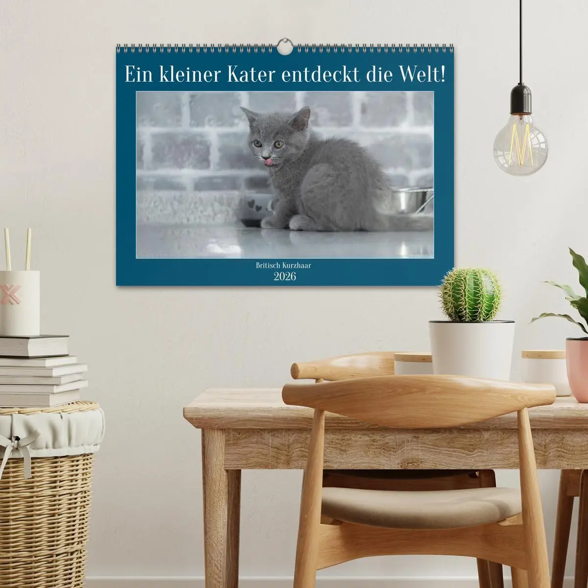 Bild: 9783457496107 | Ein kleiner Kater entdeckt die Welt! (Wandkalender 2026 DIN A3...