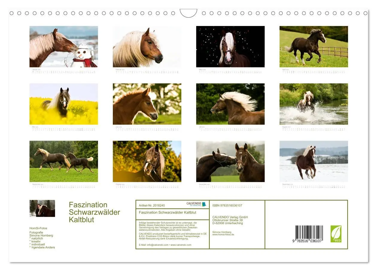 Bild: 9783516036107 | Faszination Schwarzwälder Kaltblut (Wandkalender 2026 DIN A3 quer),...