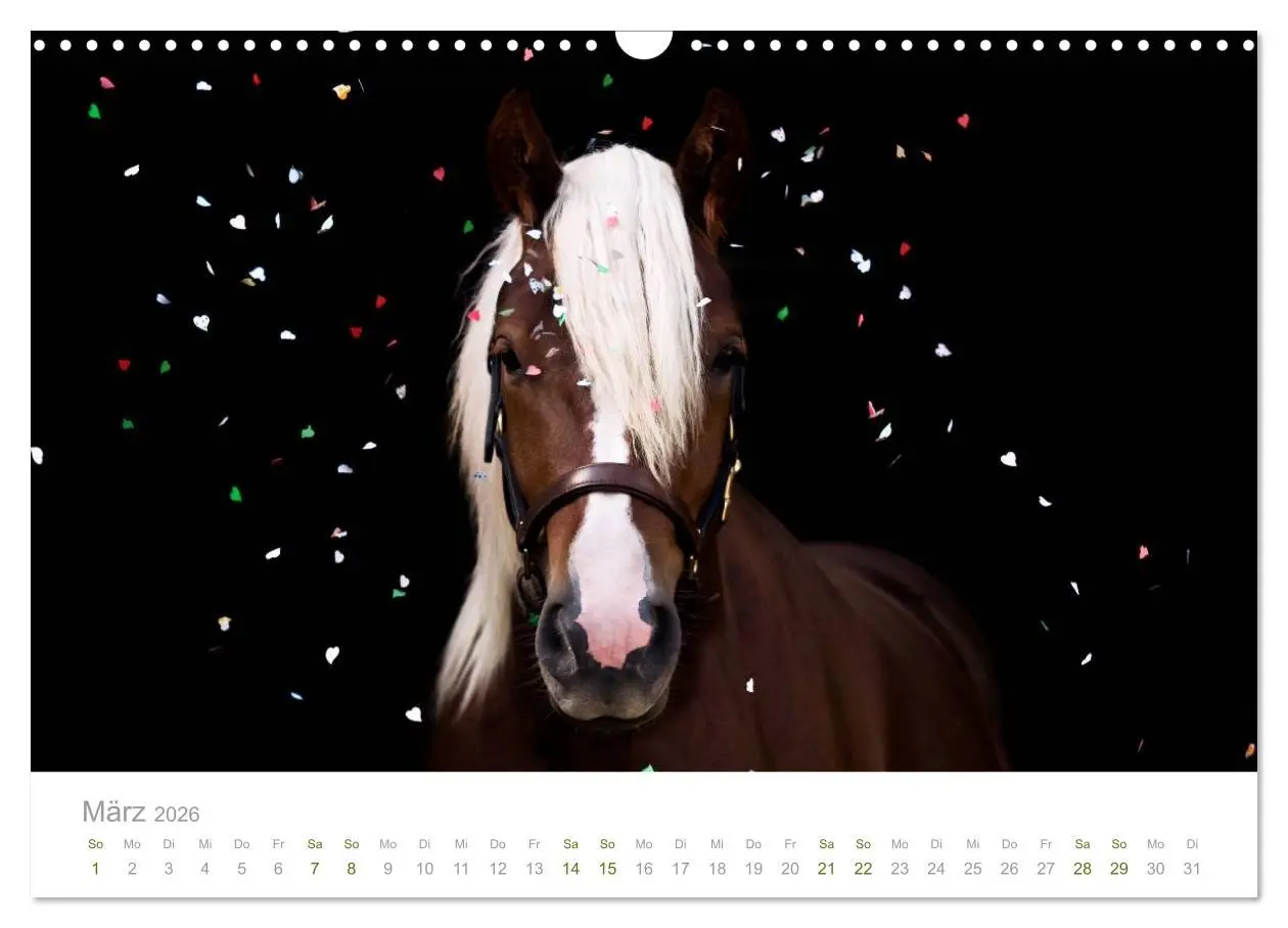 Bild: 9783516036107 | Faszination Schwarzwälder Kaltblut (Wandkalender 2026 DIN A3 quer),...