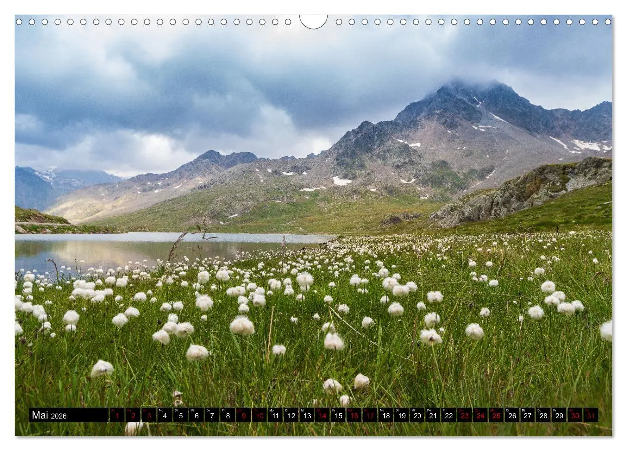 Bild: 9783457556207 | Vinschgau &amp; Ortleralpen (Wandkalender 2026 DIN A3 quer), CALVENDO...
