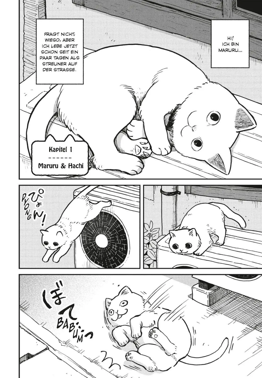 Bild: 9783551806307 | Hachi &amp; Maruru - Streuner halten zusammen! 1 | Yuri Sonoda | Buch