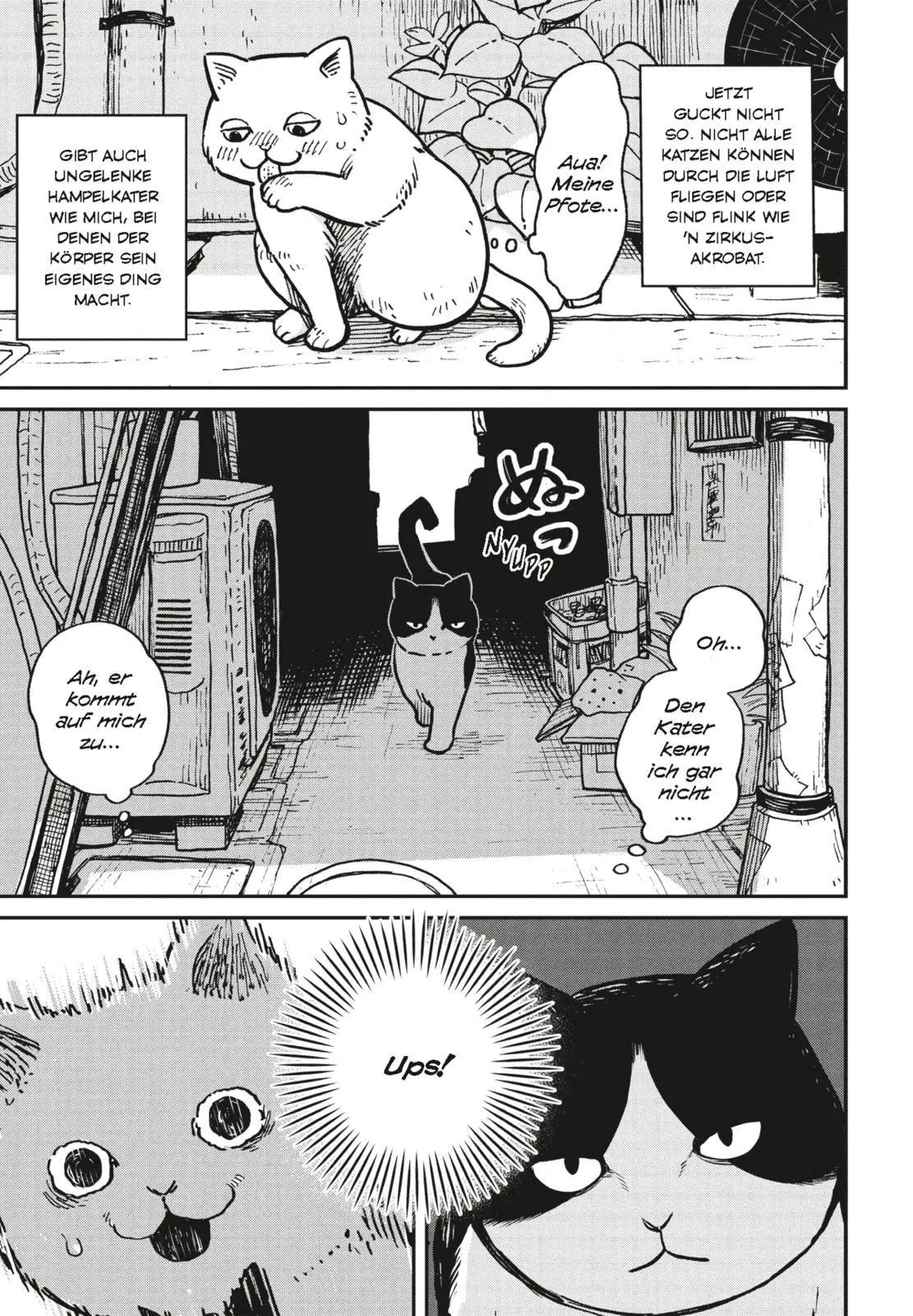 Bild: 9783551806307 | Hachi &amp; Maruru - Streuner halten zusammen! 1 | Yuri Sonoda | Buch