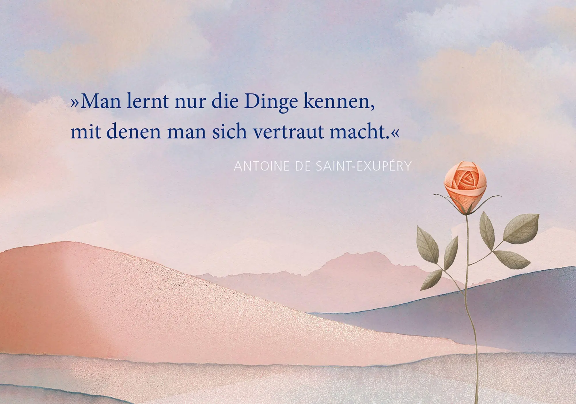 Bild: 9783730616307 | Postkarten-Set Antoine de Saint-Exupéry | Taschenbuch | 20 S. | 2026