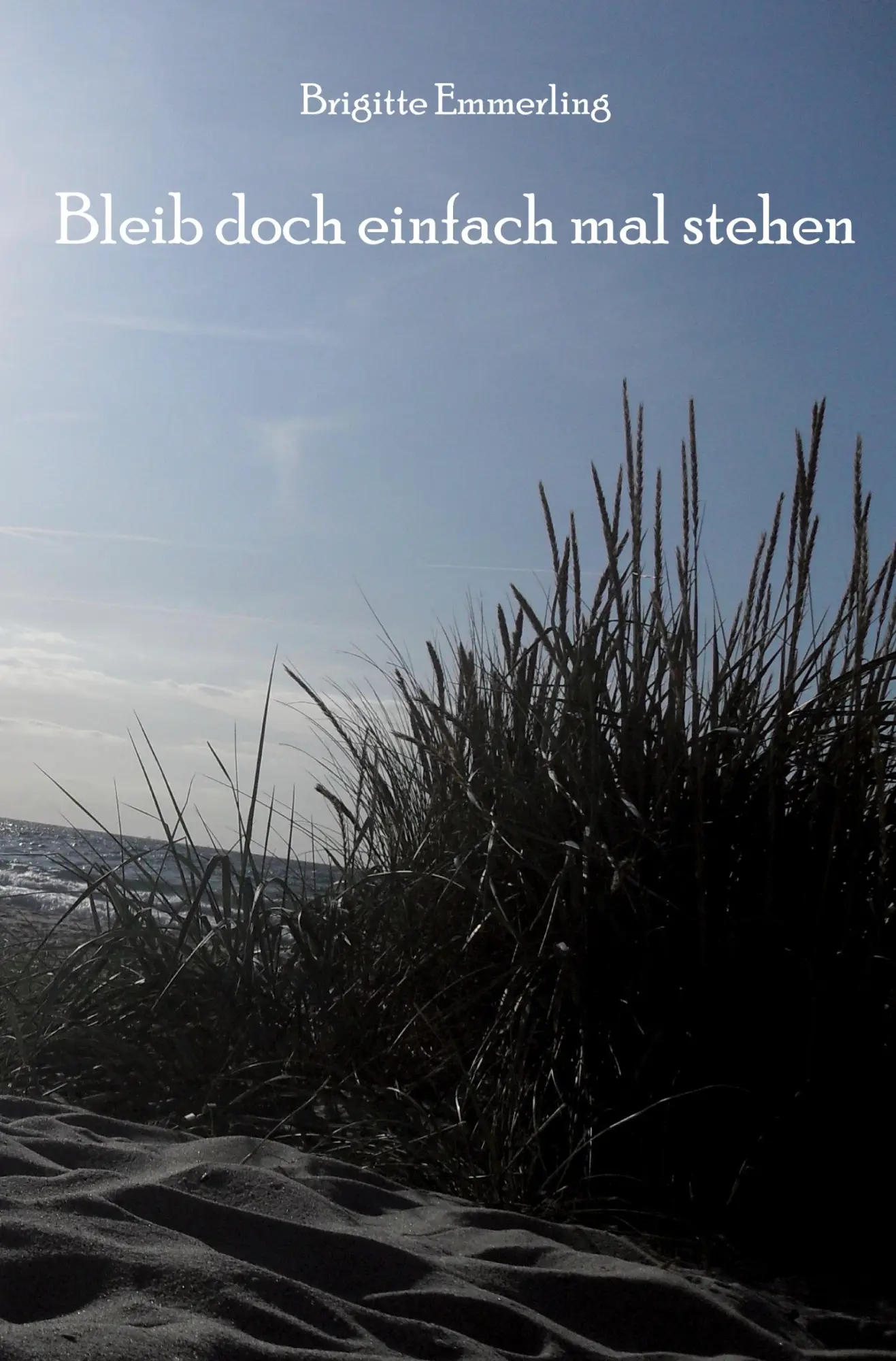 Cover: 9783868706307 | Bleib doch einfach mal stehen | Brigitte Emmerling | Taschenbuch