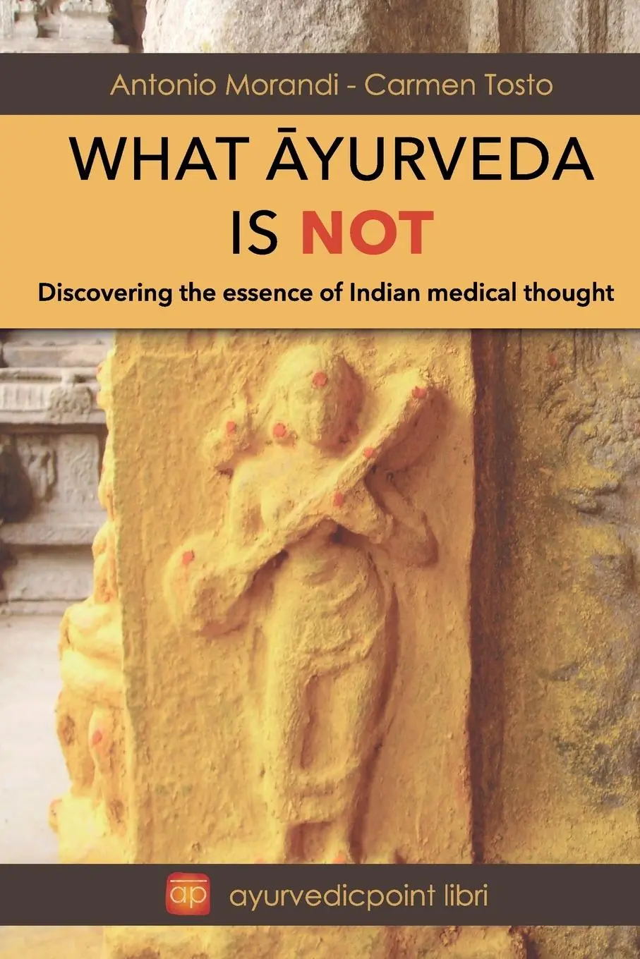 Cover: 9791222796307 | What ¿yureda is not | Antonio Morandi Carmen Tosto | Taschenbuch