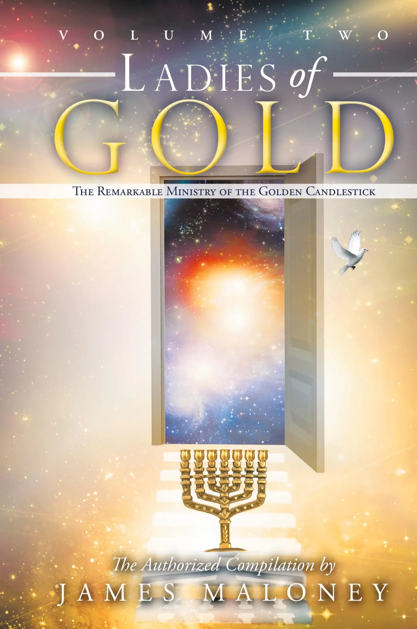 Cover: 9781449746407 | Volume Two Ladies of Gold | James Maloney | Buch | Englisch | 2012