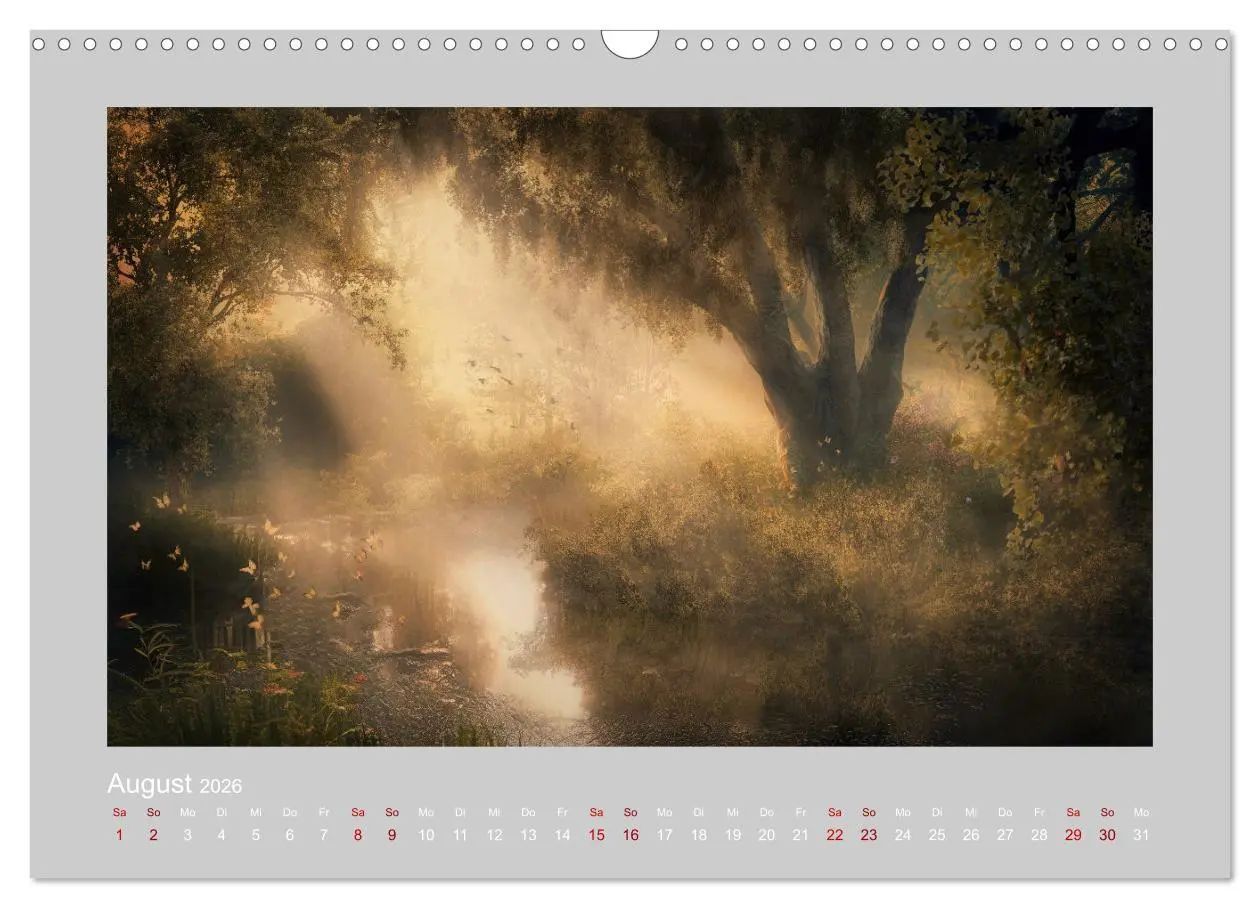 Bild: 9783457536407 | Wald der Märchen (Wandkalender 2026 DIN A3 quer), CALVENDO...