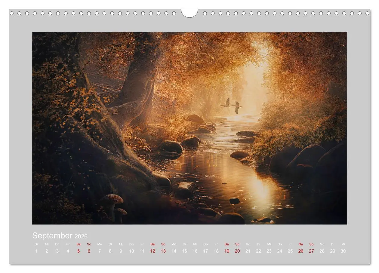 Bild: 9783457536407 | Wald der Märchen (Wandkalender 2026 DIN A3 quer), CALVENDO...
