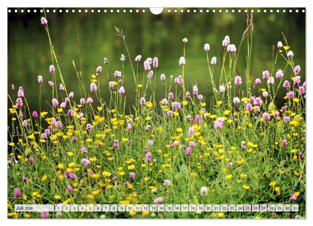 Bild: 9783457776407 | Georgien - Kirchen Klöster Kaukasus (Wandkalender 2026 DIN A3...