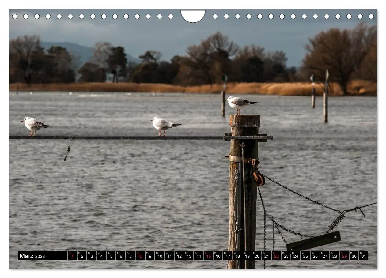 Bild: 9783516176407 | BODENSEE (Wandkalender 2026 DIN A4 quer), CALVENDO Monatskalender