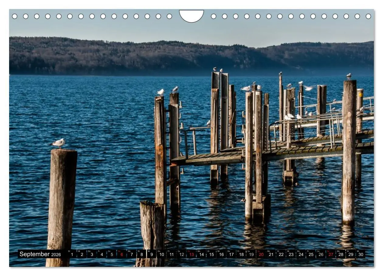 Bild: 9783516176407 | BODENSEE (Wandkalender 2026 DIN A4 quer), CALVENDO Monatskalender