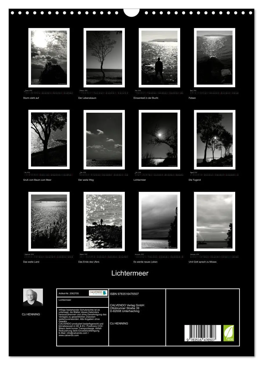 Bild: 9783516476507 | Lichtermeer (Wandkalender 2026 DIN A3 hoch), CALVENDO Monatskalender