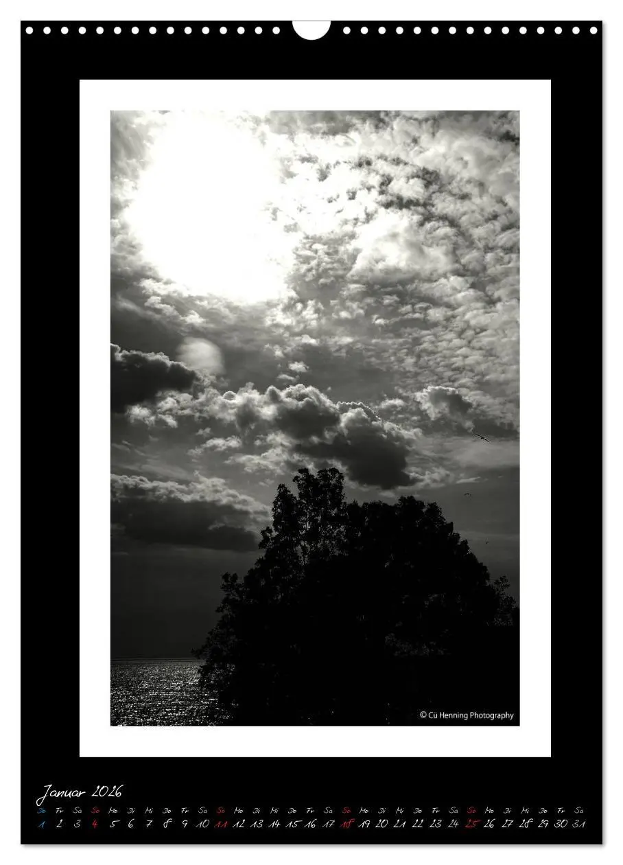 Bild: 9783516476507 | Lichtermeer (Wandkalender 2026 DIN A3 hoch), CALVENDO Monatskalender