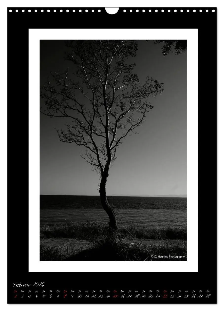 Bild: 9783516476507 | Lichtermeer (Wandkalender 2026 DIN A3 hoch), CALVENDO Monatskalender