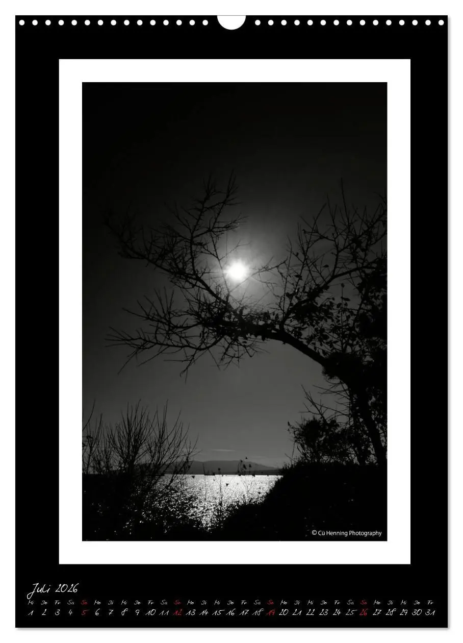 Bild: 9783516476507 | Lichtermeer (Wandkalender 2026 DIN A3 hoch), CALVENDO Monatskalender