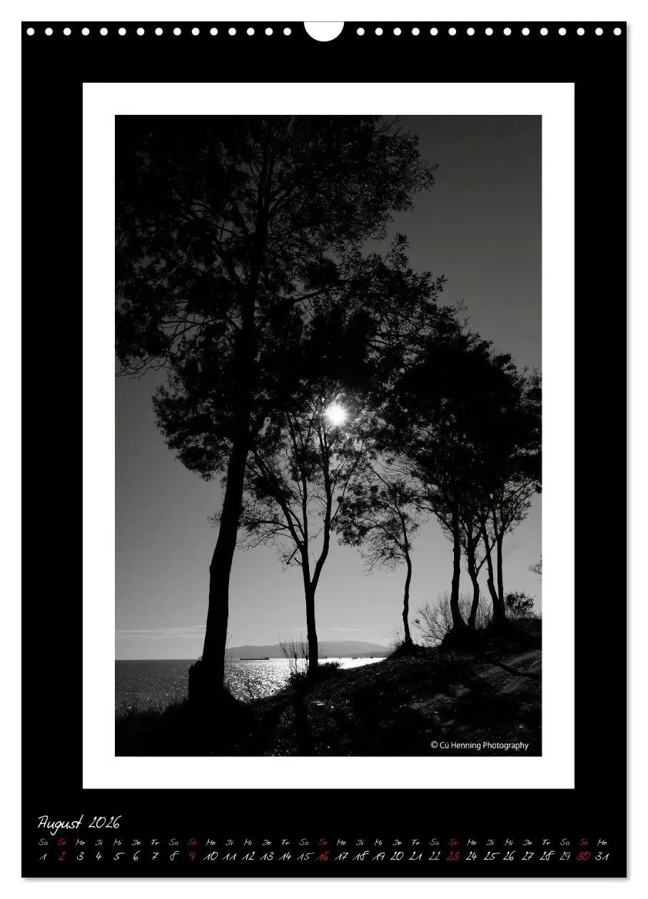 Bild: 9783516476507 | Lichtermeer (Wandkalender 2026 DIN A3 hoch), CALVENDO Monatskalender