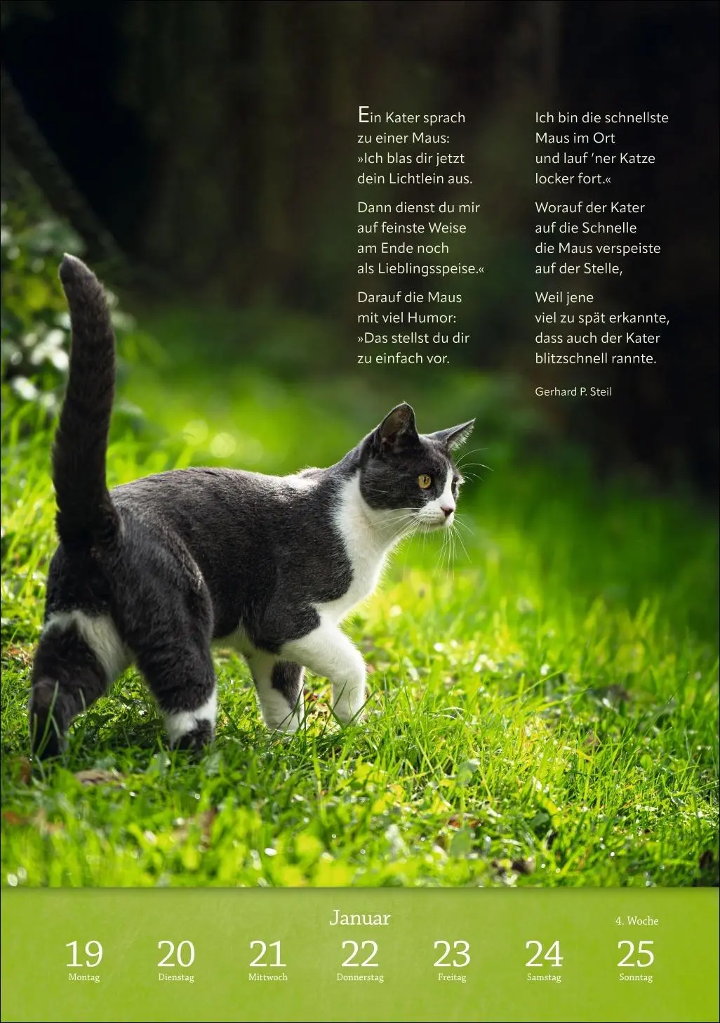 Bild: 9783840036507 | Literaturkalender Katzen Wochen-Kulturkalender 2026 | Harenberg | 2026