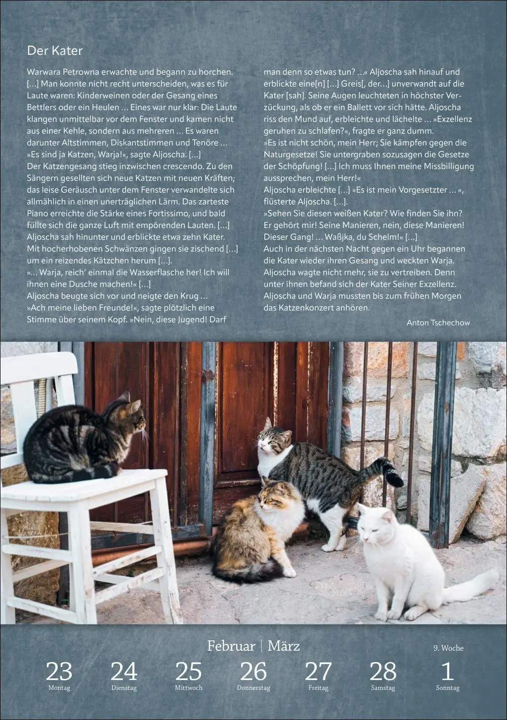 Bild: 9783840036507 | Literaturkalender Katzen Wochen-Kulturkalender 2026 | Harenberg | 2026