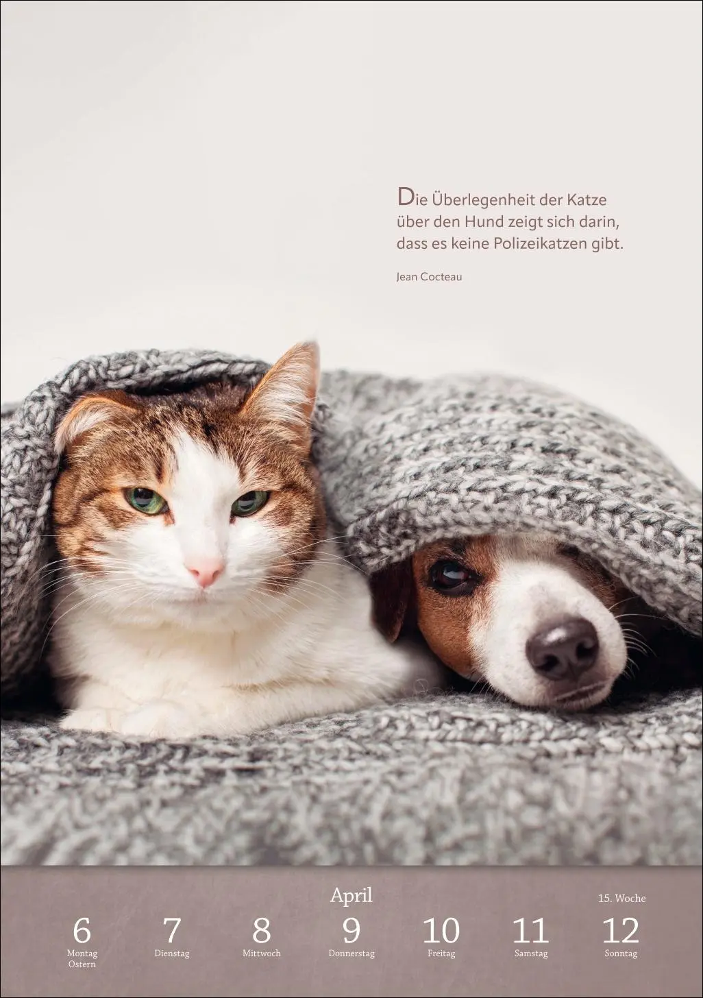 Bild: 9783840036507 | Literaturkalender Katzen Wochen-Kulturkalender 2026 | Harenberg | 2026