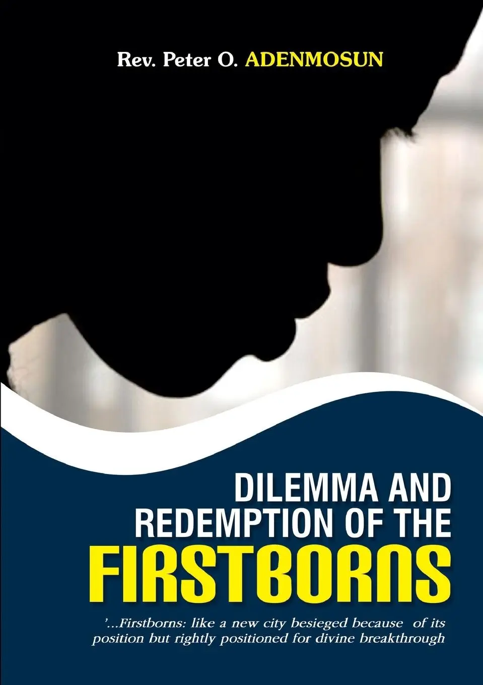 Cover: 9781291536607 | Dilemma and Redemption of the Firstborns | Peter O Adenmosun | Buch